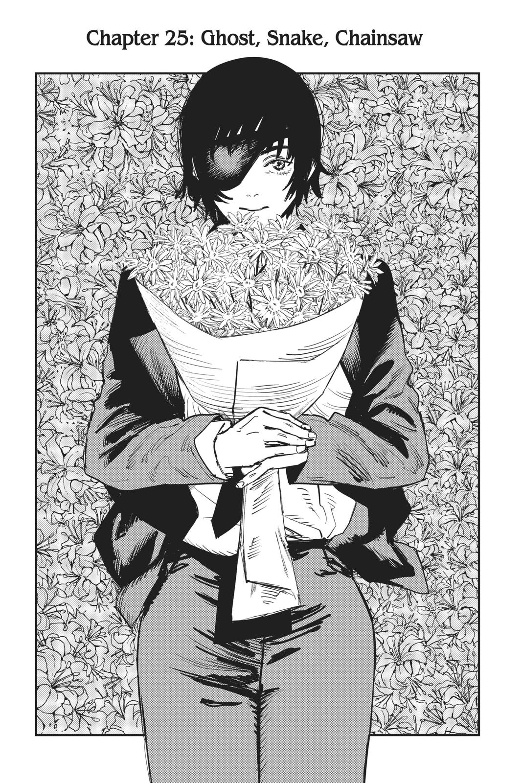 Chainsaw Man Manga Chapter 25 page 1 - Ghost, Snake, Chainsaw scene